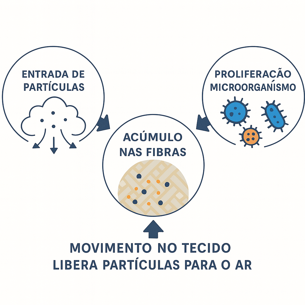 Ciclo da contaminação diaria